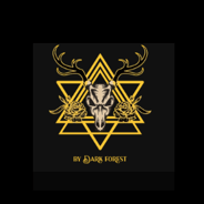 Dark Forest Tarot Cards discount codes and coupon codes