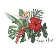 Fanm Mon discount codes and coupon codes