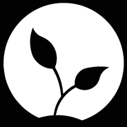 Grounded discount codes and coupon codes