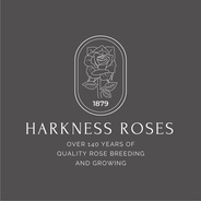 Harkness Roses discount codes and voucher codes