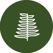 Jackfir discount codes and coupon codes