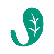 Jade Leaf Matcha discount codes and coupon codes