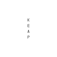 Keap Candles discount codes and coupon codes