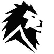 Lion Energy discount codes and coupon codes