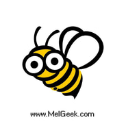 MelGeek discount codes and coupon codes