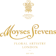 Moyses Stevens discount codes and voucher codes