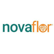 Nova Flor códigos de desconto e códigos de cupom