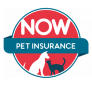 NOW Pet discount codes and voucher codes