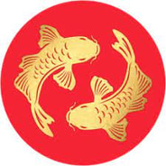 Pearl River discount codes and coupon codes