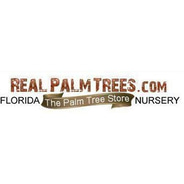 Real Palm Trees discount codes and coupon codes