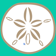 Sand Dollar discount codes and coupon codes