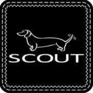 Scout discount codes and coupon codes