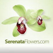 Serenata Flowers discount codes and voucher codes