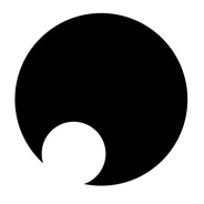 Shadow discount codes and coupon codes