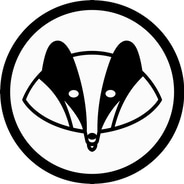 Swanky Badger discount codes and coupon codes