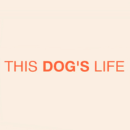 This Dog’s Life discount codes and coupon codes
