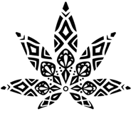 TribeTokes discount codes and coupon codes