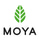Moya Matcha