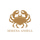 Serena Ansell