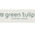 Green Tulip