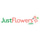 JustFlower