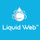 Liquid Web