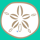 Sand Dollar