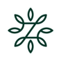 Zinus