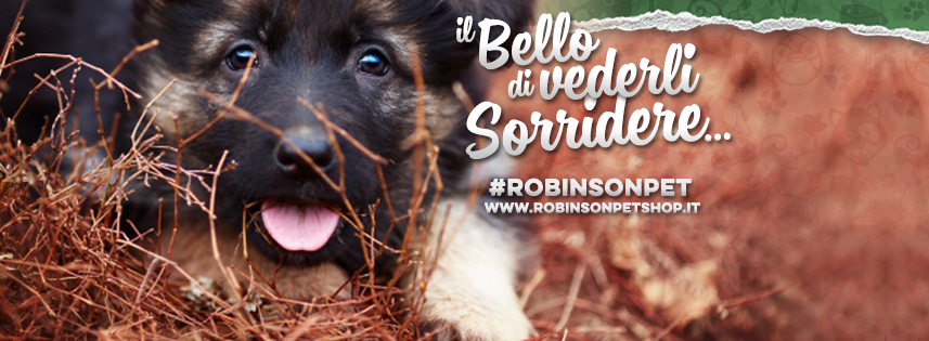 robinson