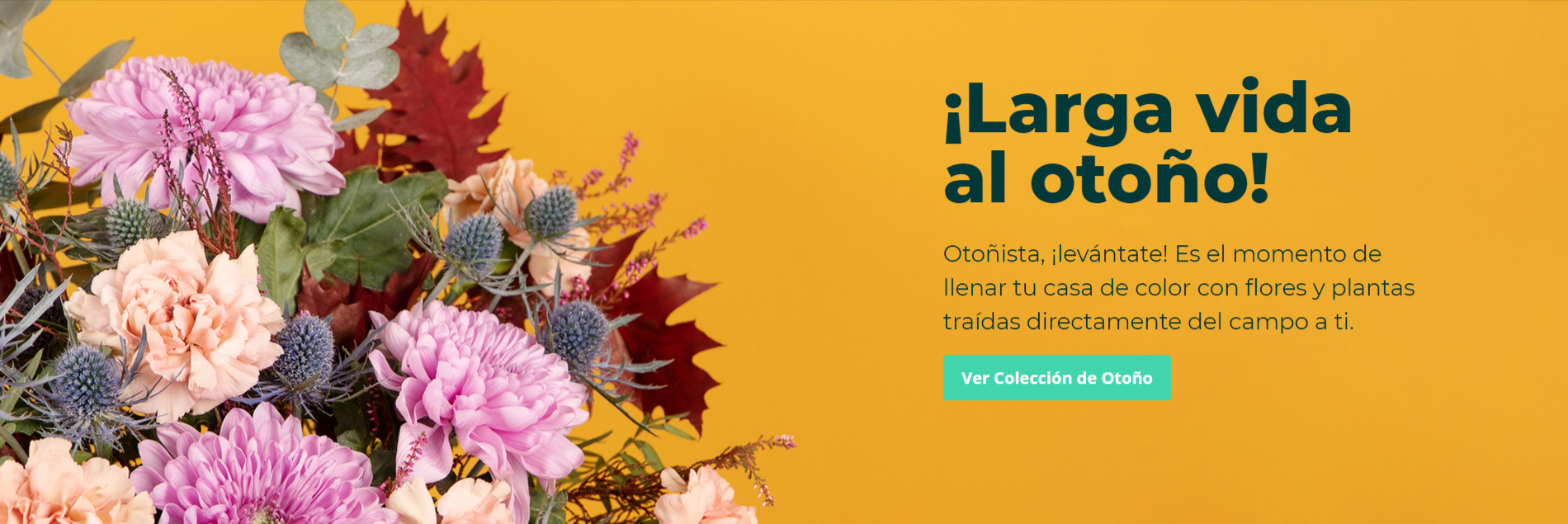 flores_home
