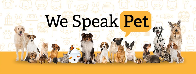 About Pet Supermarket Homepage