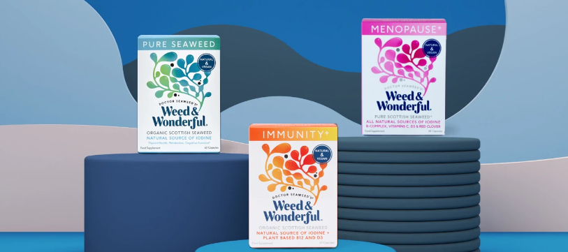 About Doctor Seaweed Homepage