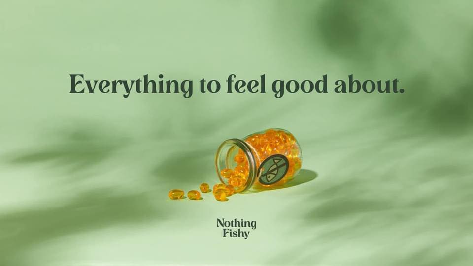 About Nothing Fishy Homepage