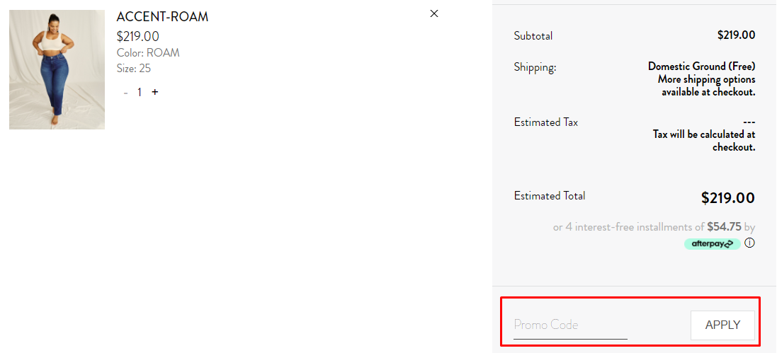 How do I use my PAIGE promo code?