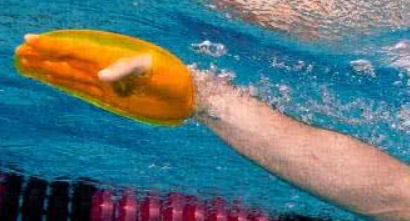 palette senza elastico da poter comprare con un coupon Swimmershop