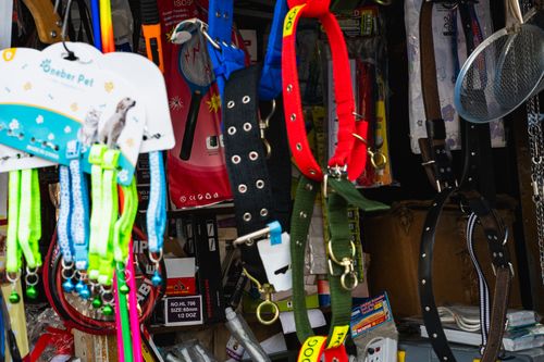 A bunch of dog collars you can get with a HugglePets voucher code from the pet store