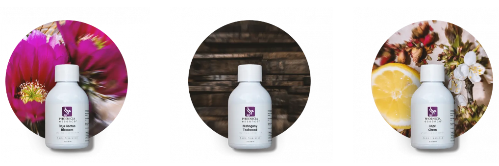 About Phoenicia Essence Homepage
