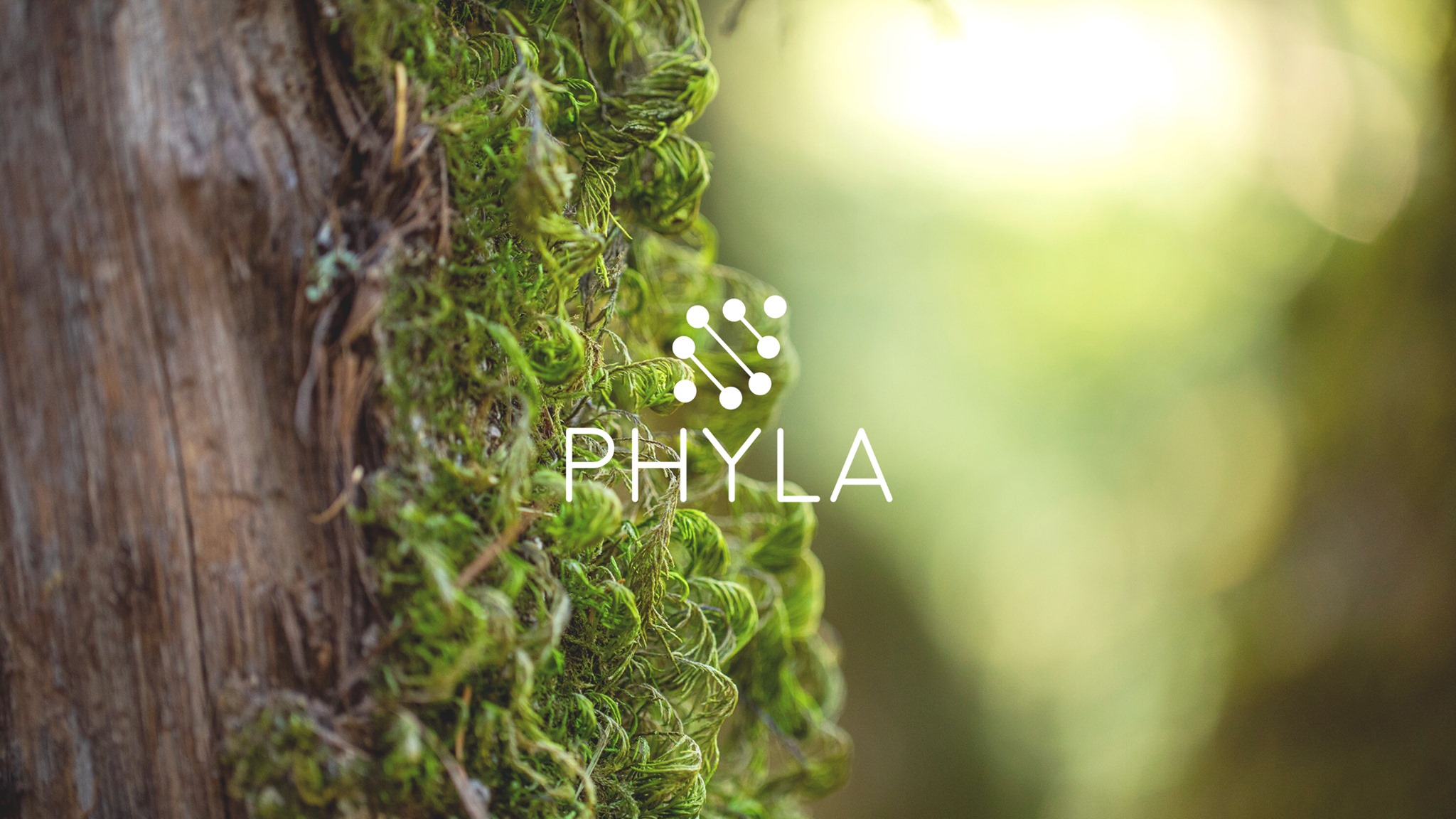 About Phyla Homepage