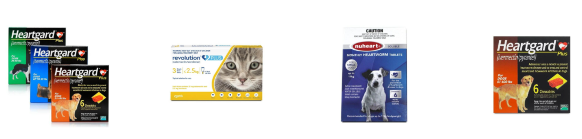 About World Pet Express Homepage