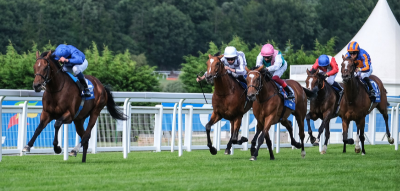 About Sandown Park