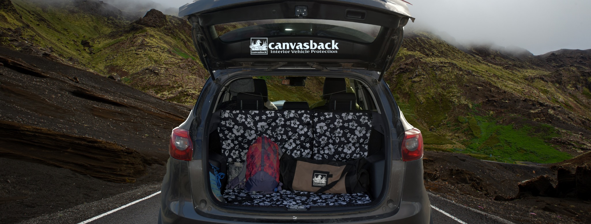 About Canvasback