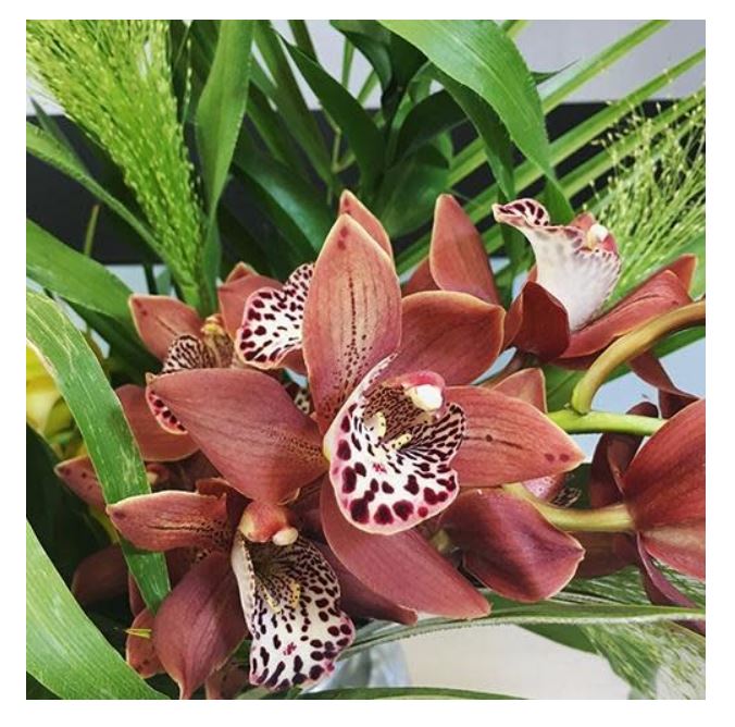 Arena Flowers Discount June 2024