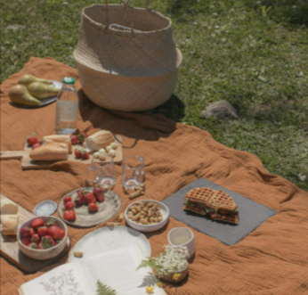Brown picnic blanket on green grass