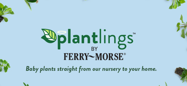 About Ferry-Morse Home Gardening Homepage