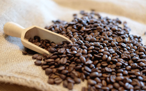 Ein großer Haufen Kaffeebohnen mit einer holzschaufel
