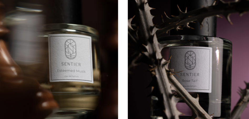 About Sentier Homepage