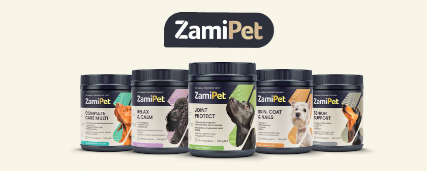 About ZamiPet Homepage