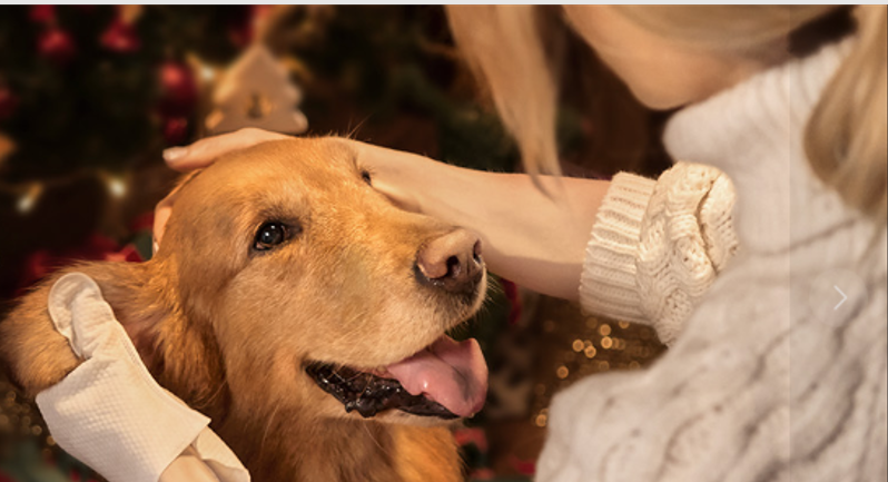 About HICC PET Homepage
