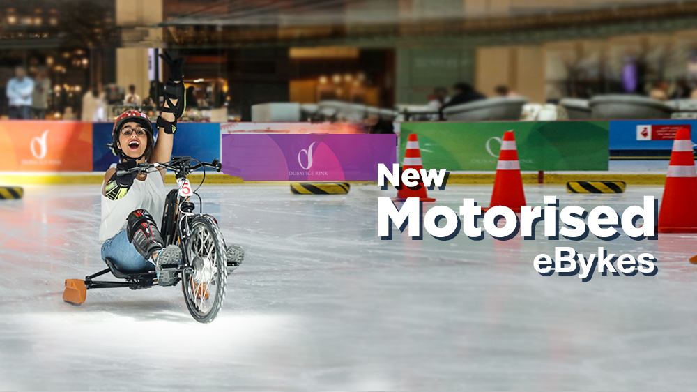 About Dubai Ice Rink Homepage