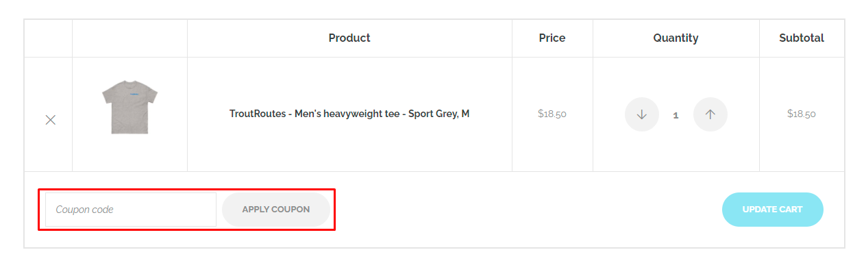 How do I use my TroutRoutes coupon code?